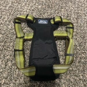 Explorer Dog Harness in Black and Green